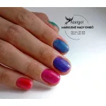 Colecția de geluri Cat Vibe cu 8 oje semipermanente și o margaretă cadou