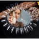 Baza Daisy Fiber basepentru lacuri cu primer gel 