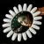 Daisy pentru lacuri cu gel Katharína reflectorizant