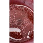 Liquid polygel - FLORANCE CHARM - 15 ml