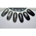 Cat Noir 04 gel lac 8 ml