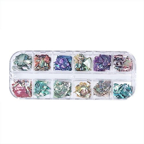 Scoică multicoloră într-un container cu 12 compartimente