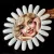 Daisy pentru lacuri cu gel Shine It Up! reflectorizant